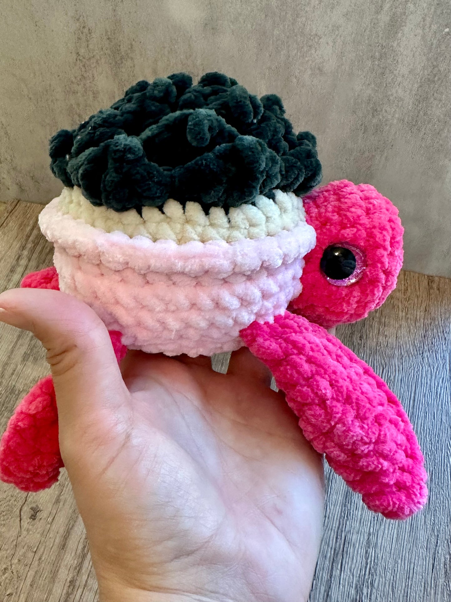 Succulent Turtle - Arizonado Designs