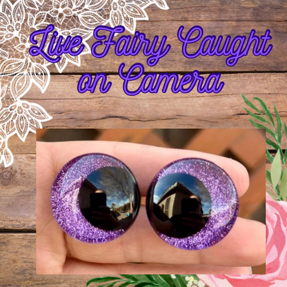 Live Fairy Caught on Camera Offset Kawaii Handpainted Safety Eyes