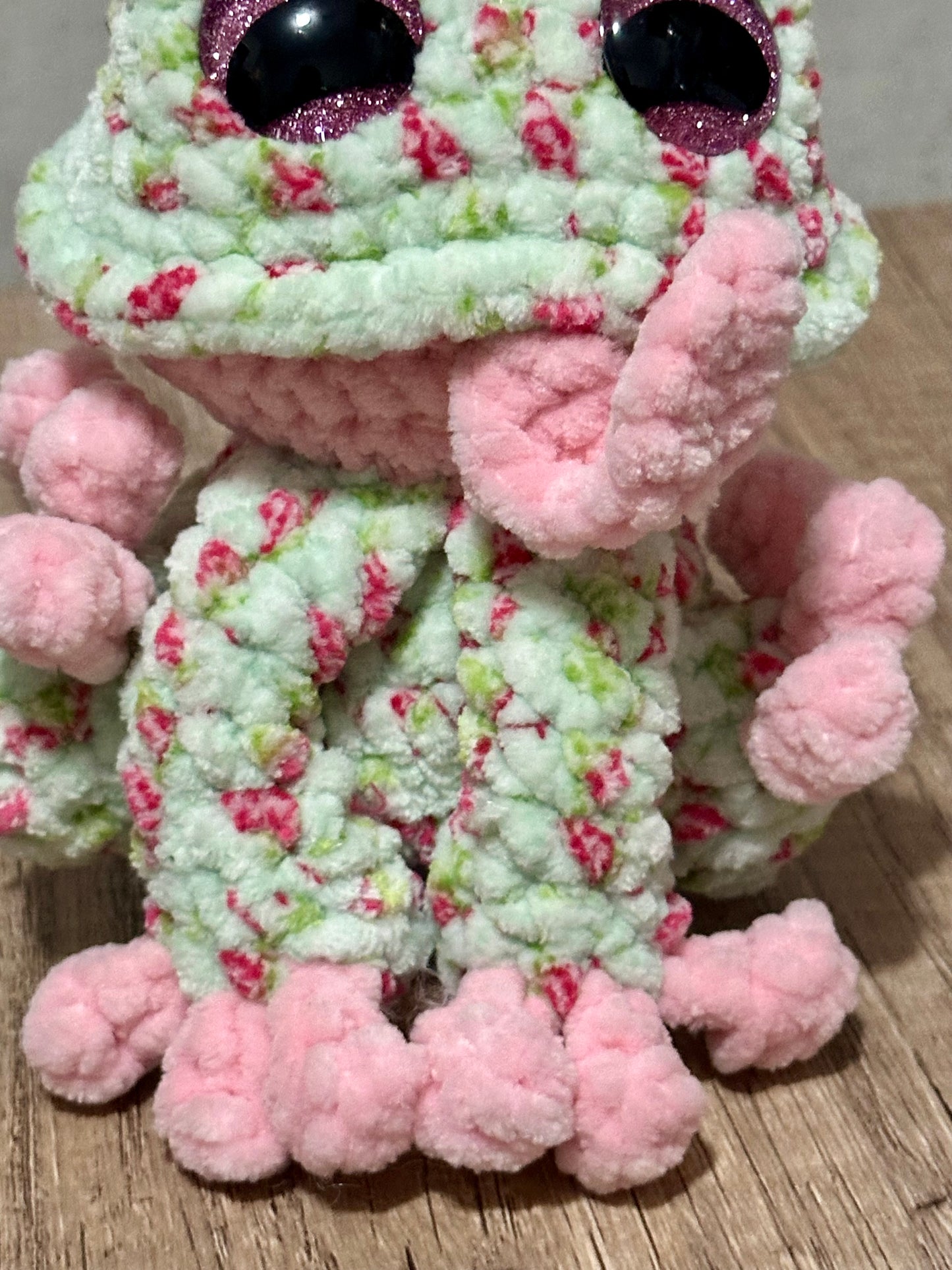 Finn the Frog Crochet Plushie