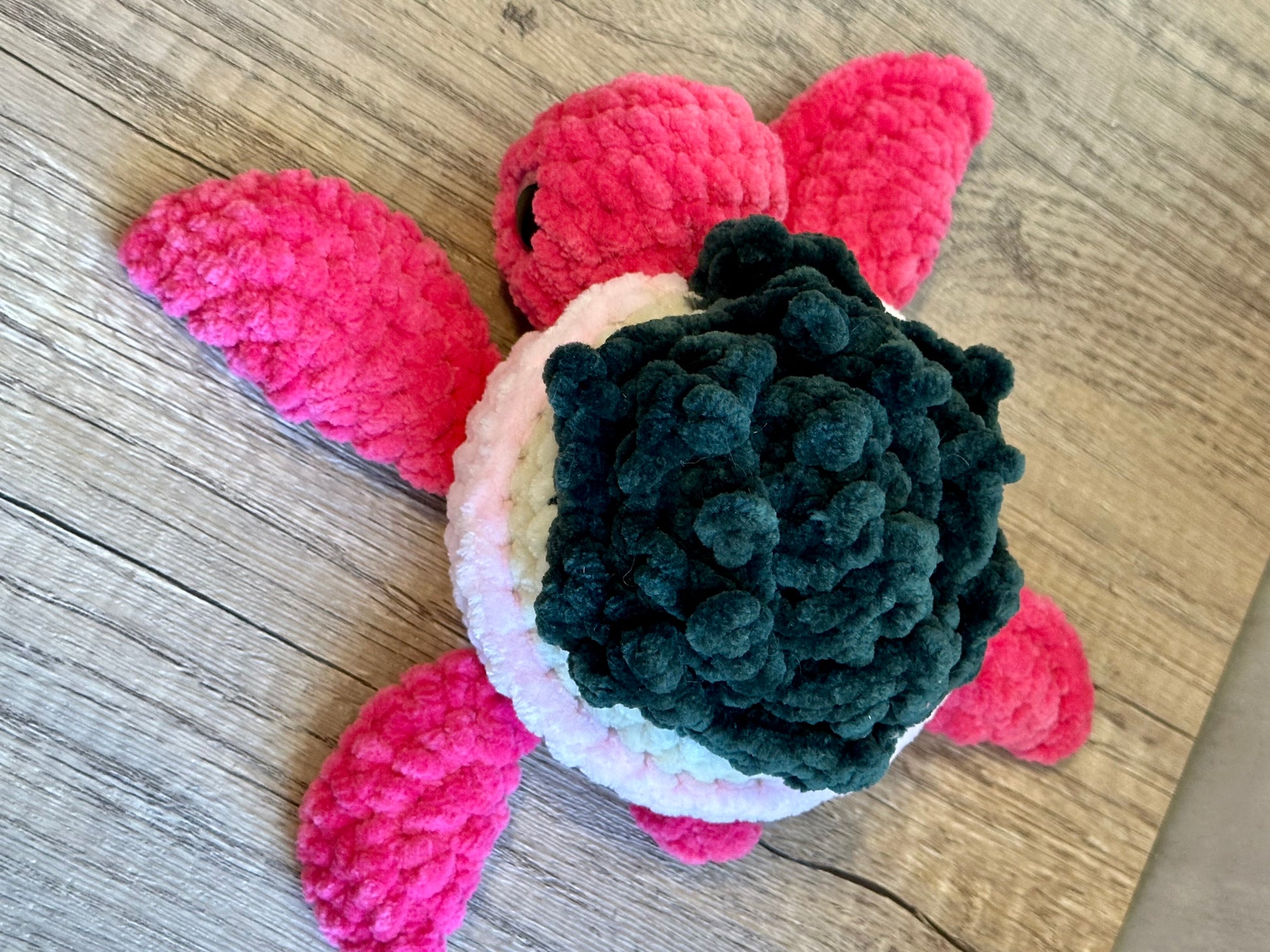 Succulent Turtle - Arizonado Designs